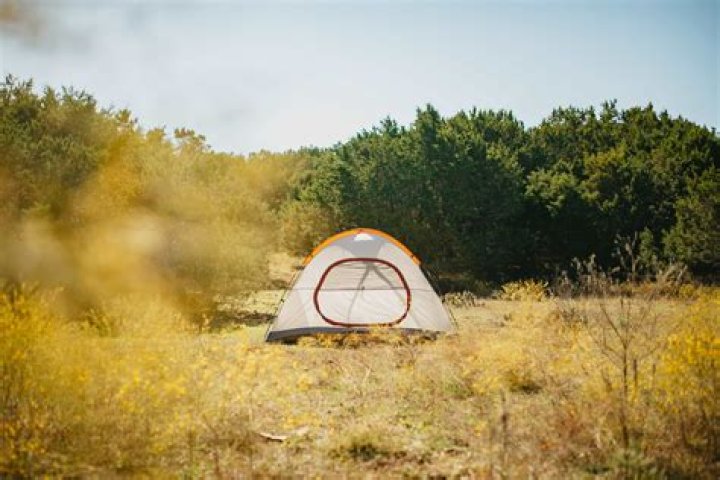 Can I camp in New Mexico right now?