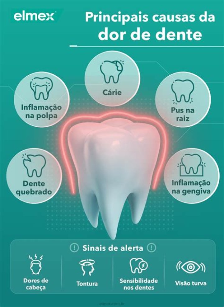 Por que o dente e mais resistente que o osso?
