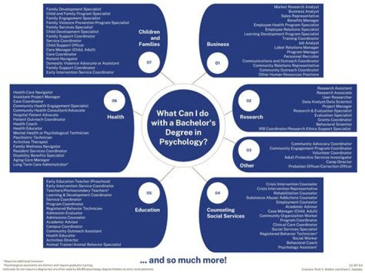 What can I do with a bachelors in kinesiology?